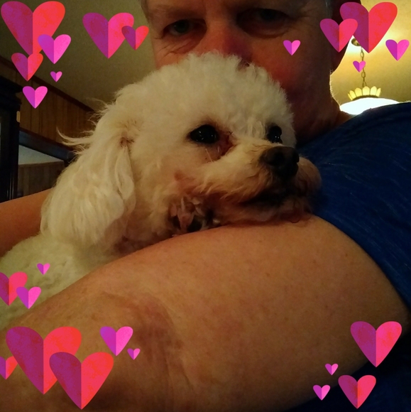 Meet your Posher, Pat - Picture 1 of 1